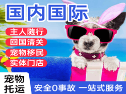 昭通机场邮寄国际宠物托运 【国